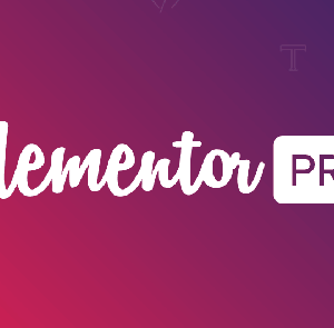Elementor Pro